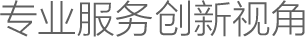專(zhuān)業(yè)服務(wù)創(chuàng)新視角